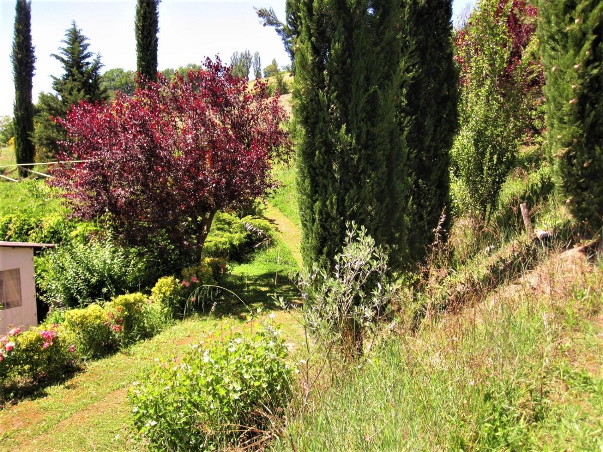 La Pietra Rara B&B Montone  Exterior photo