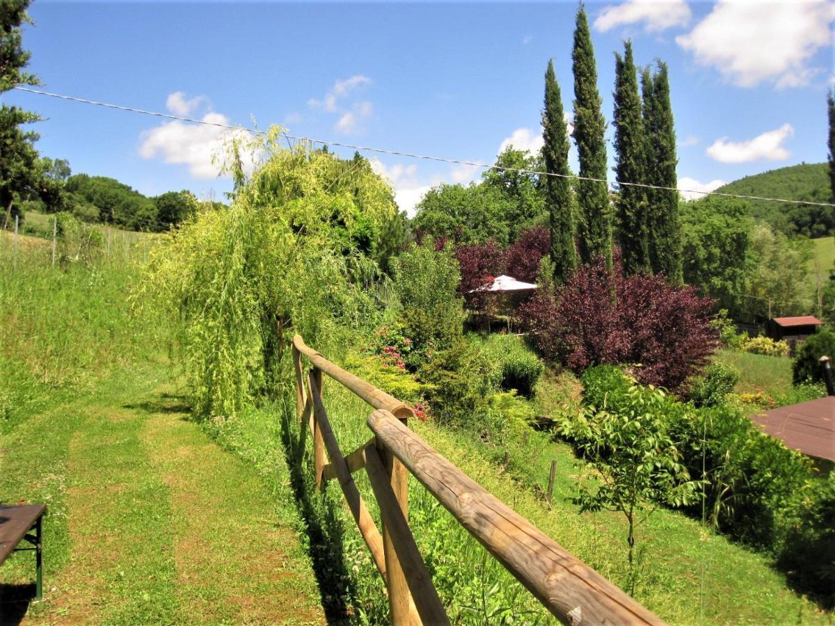 La Pietra Rara B&B Montone  Exterior photo