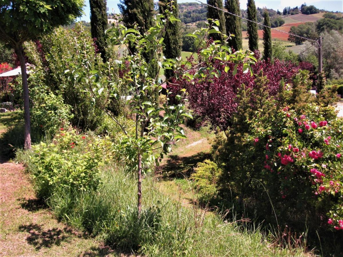 La Pietra Rara B&B Montone  Exterior photo