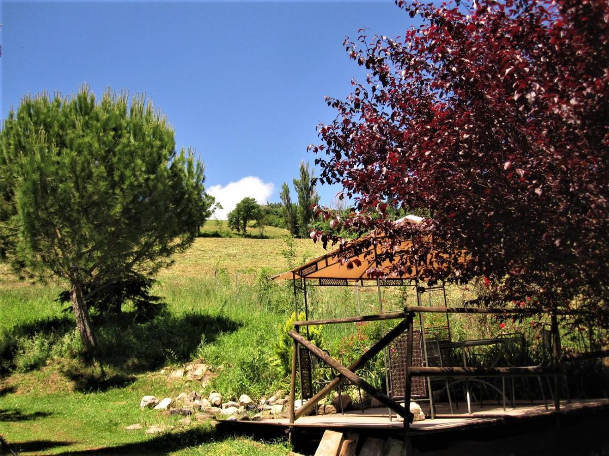 La Pietra Rara B&B Montone  Exterior photo