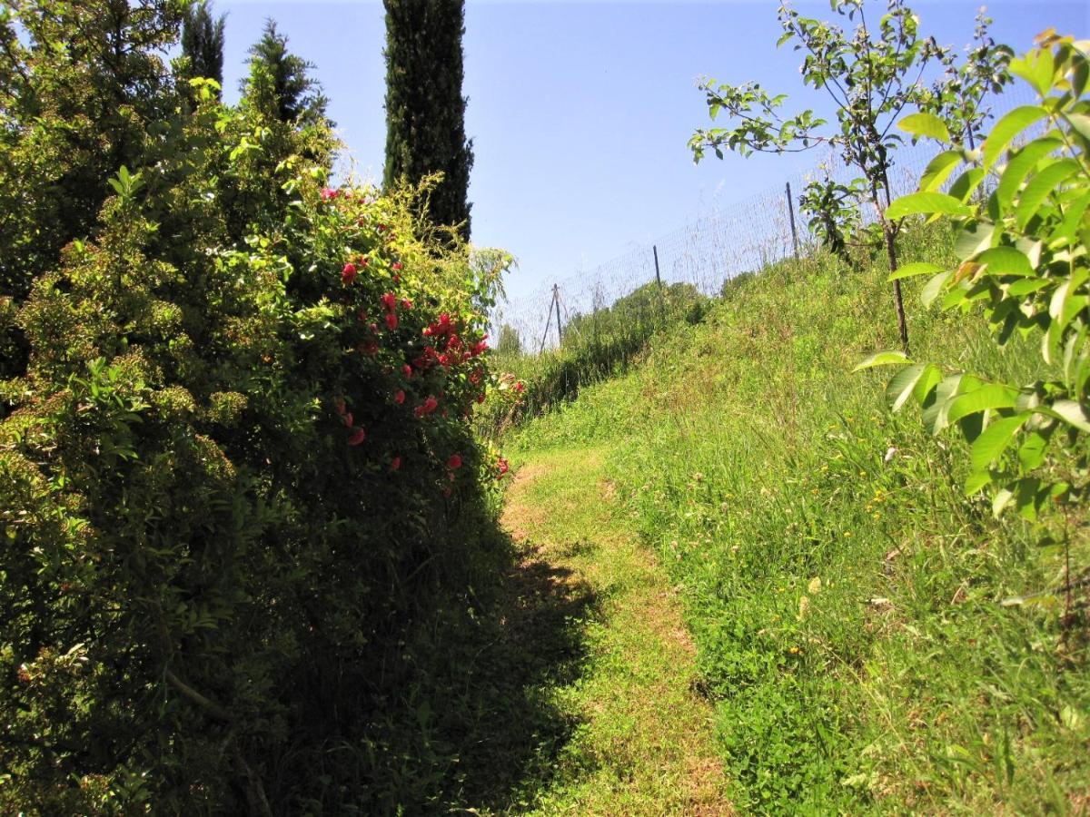 La Pietra Rara B&B Montone  Exterior photo