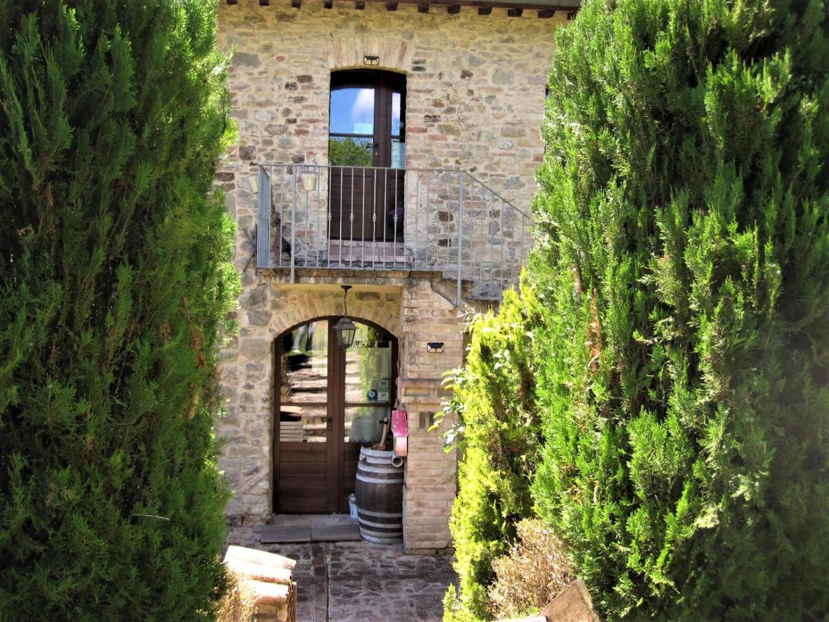 La Pietra Rara B&B Montone  Exterior photo